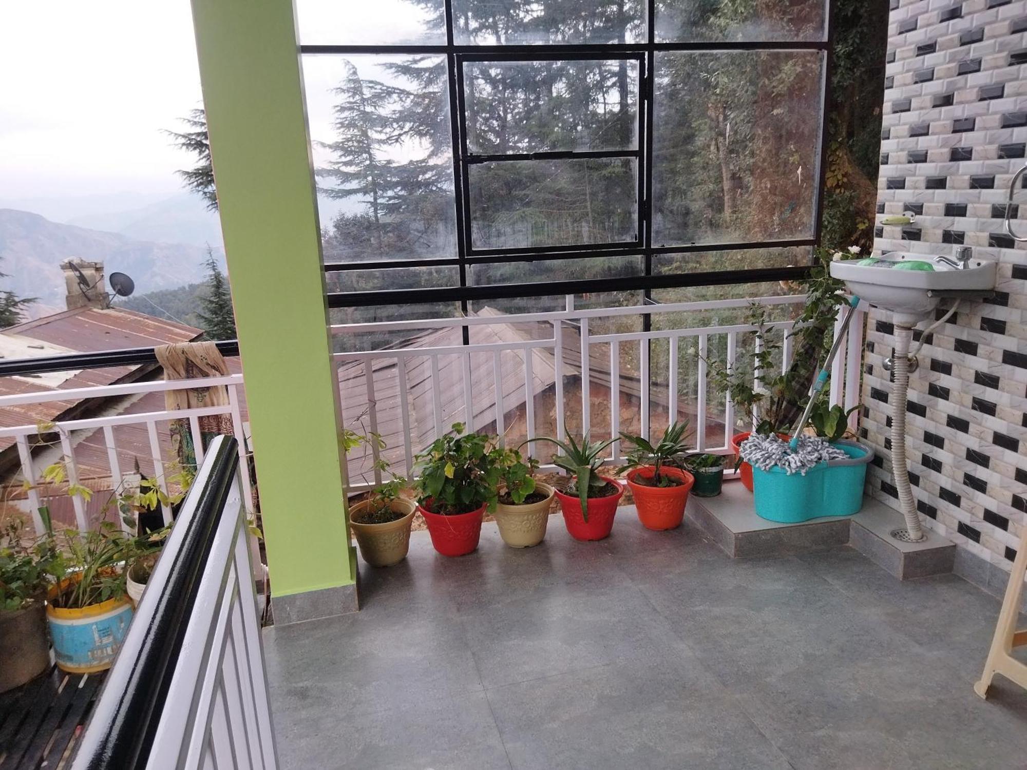 Tree Valley Homestay Chail Exterior photo
