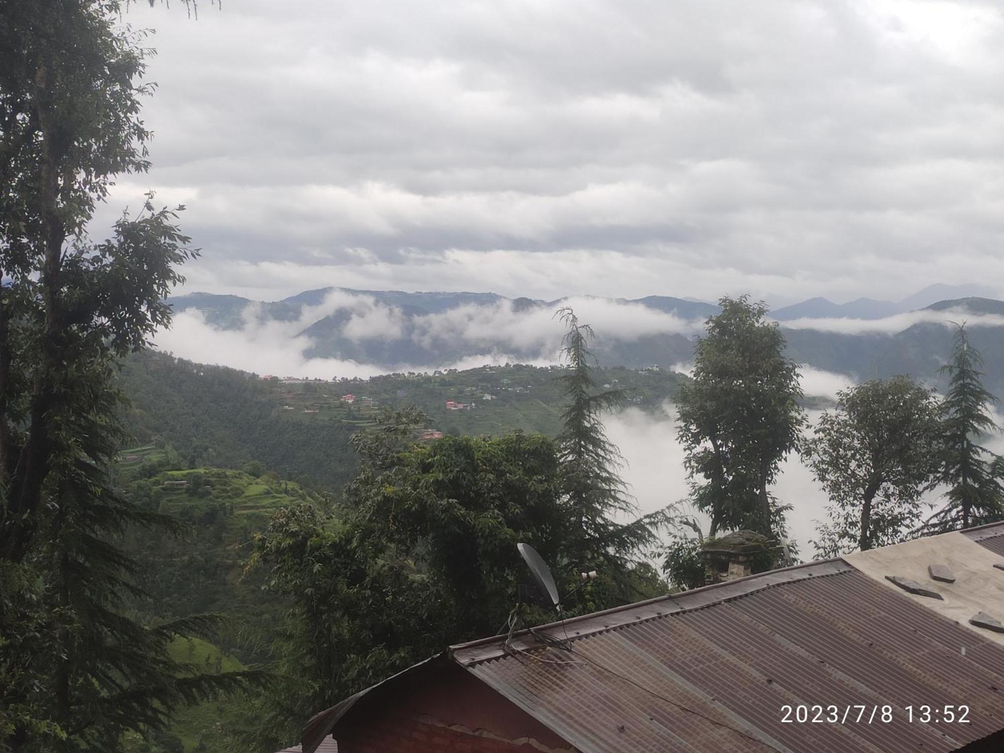 Tree Valley Homestay Chail Exterior photo