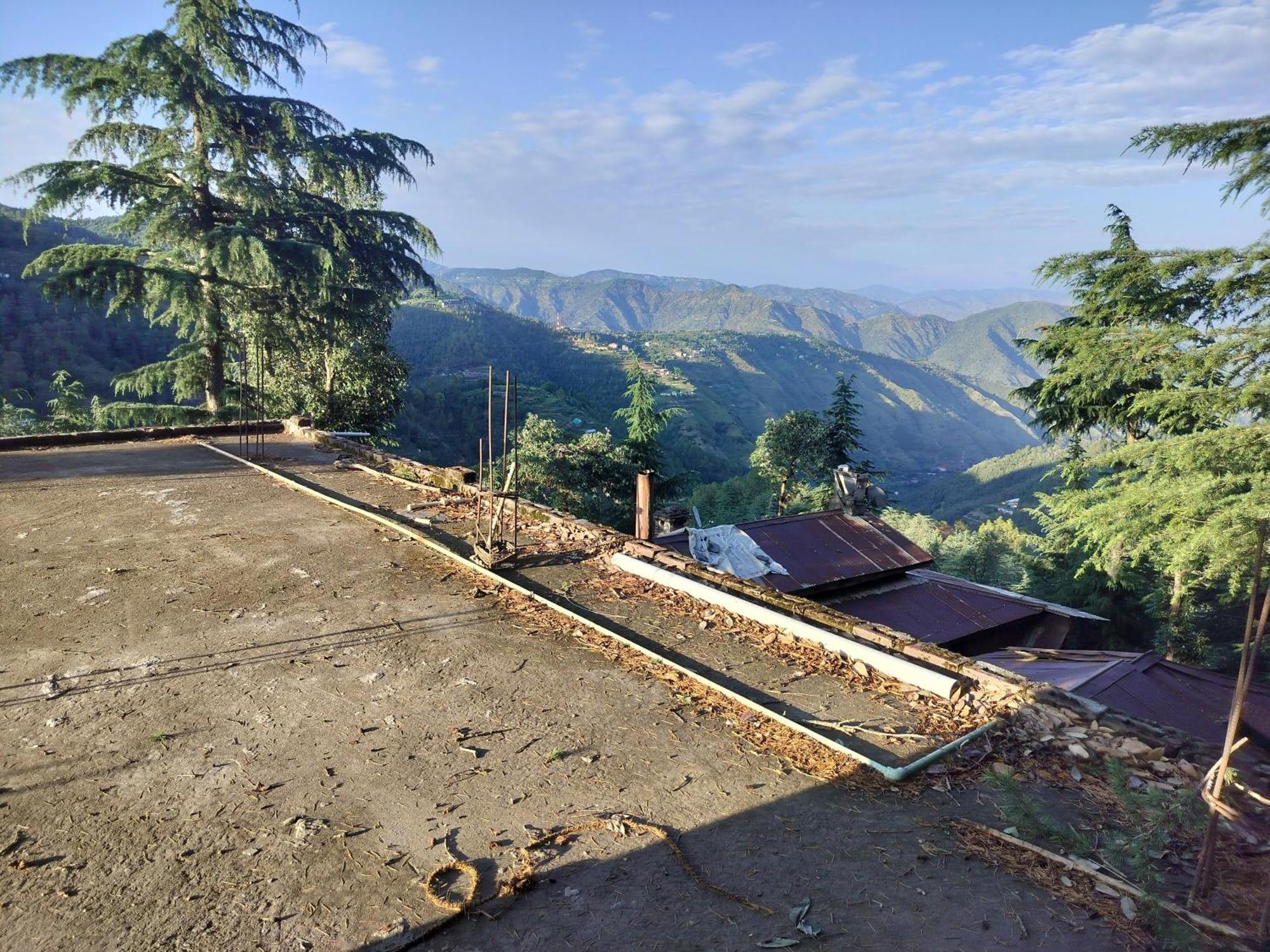 Tree Valley Homestay Chail Exterior photo