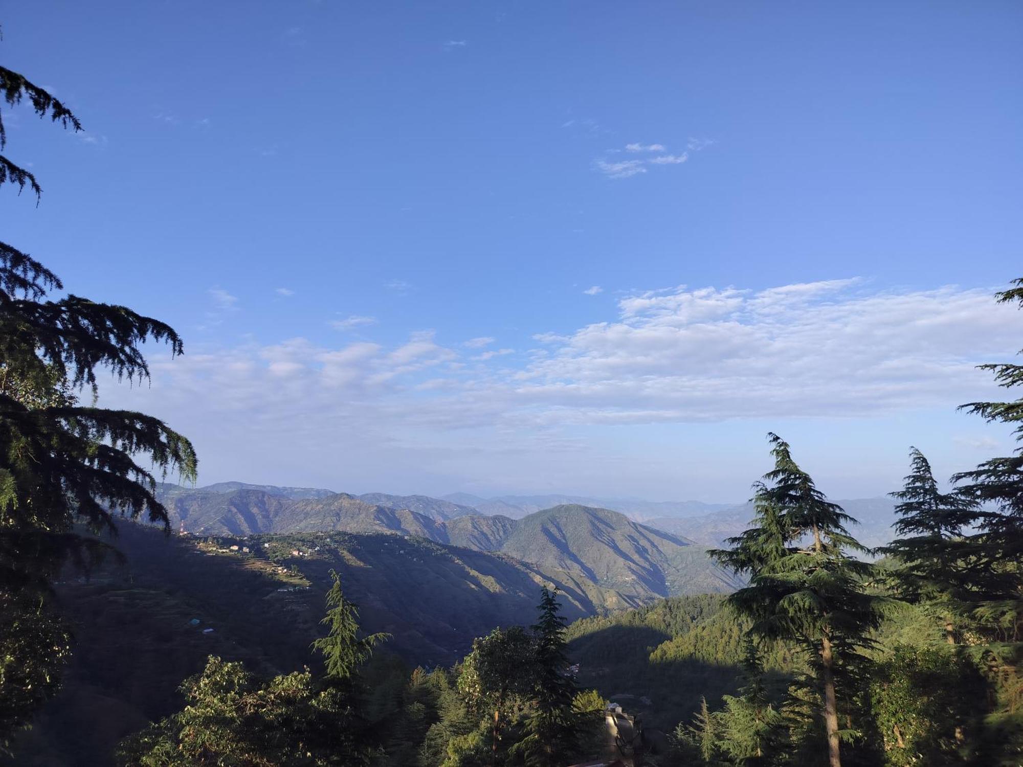 Tree Valley Homestay Chail Exterior photo