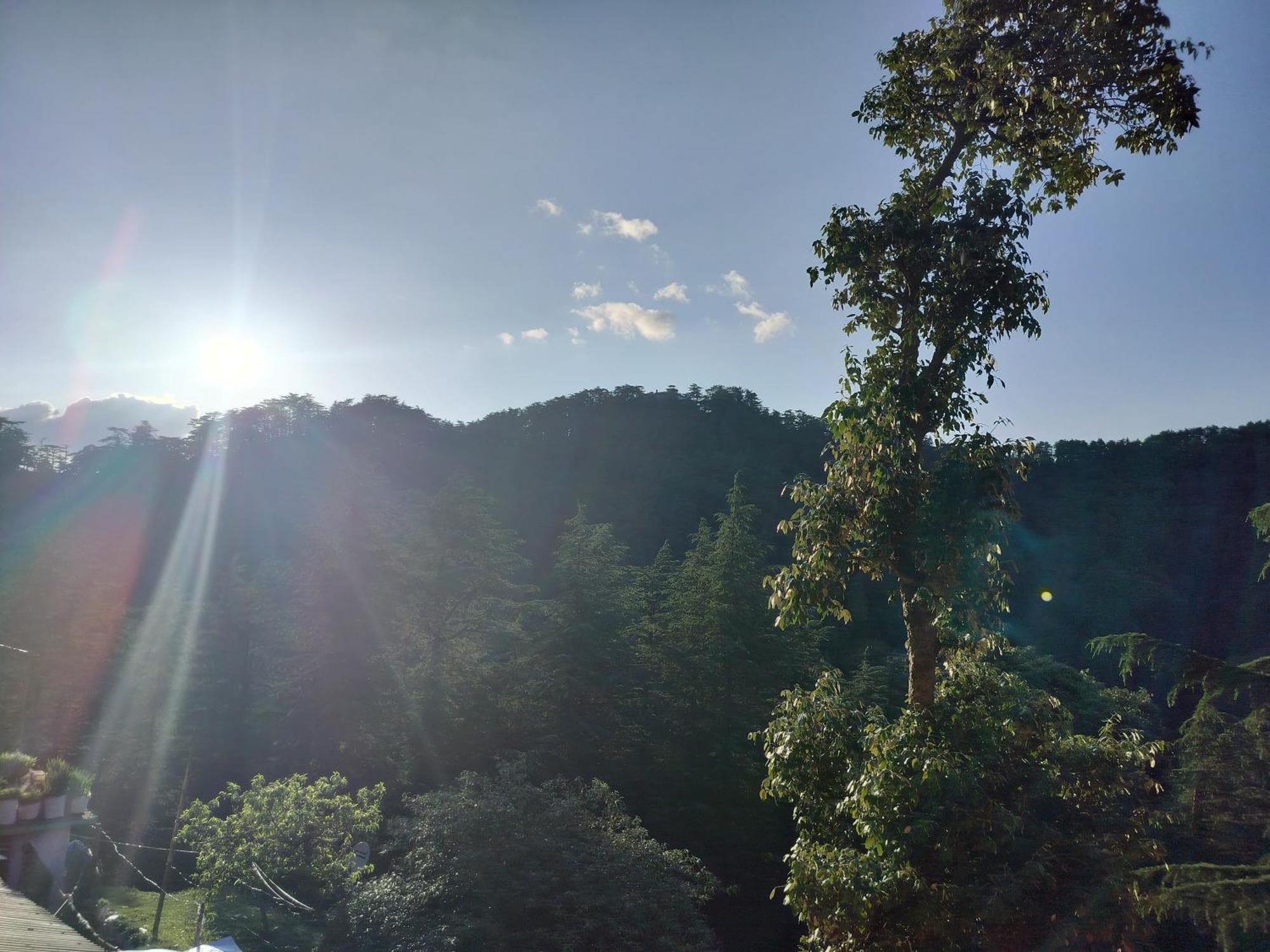 Tree Valley Homestay Chail Exterior photo