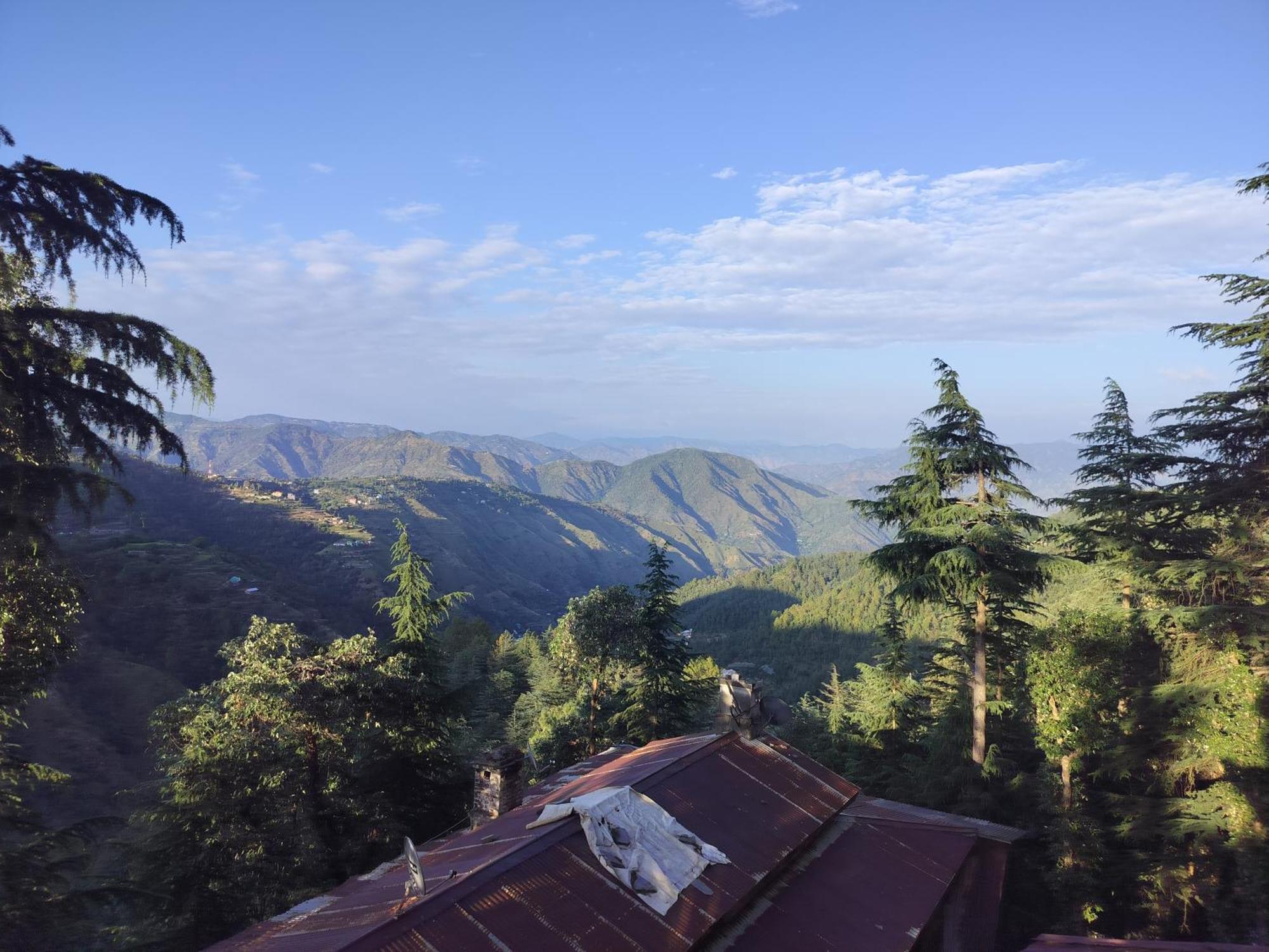 Tree Valley Homestay Chail Exterior photo