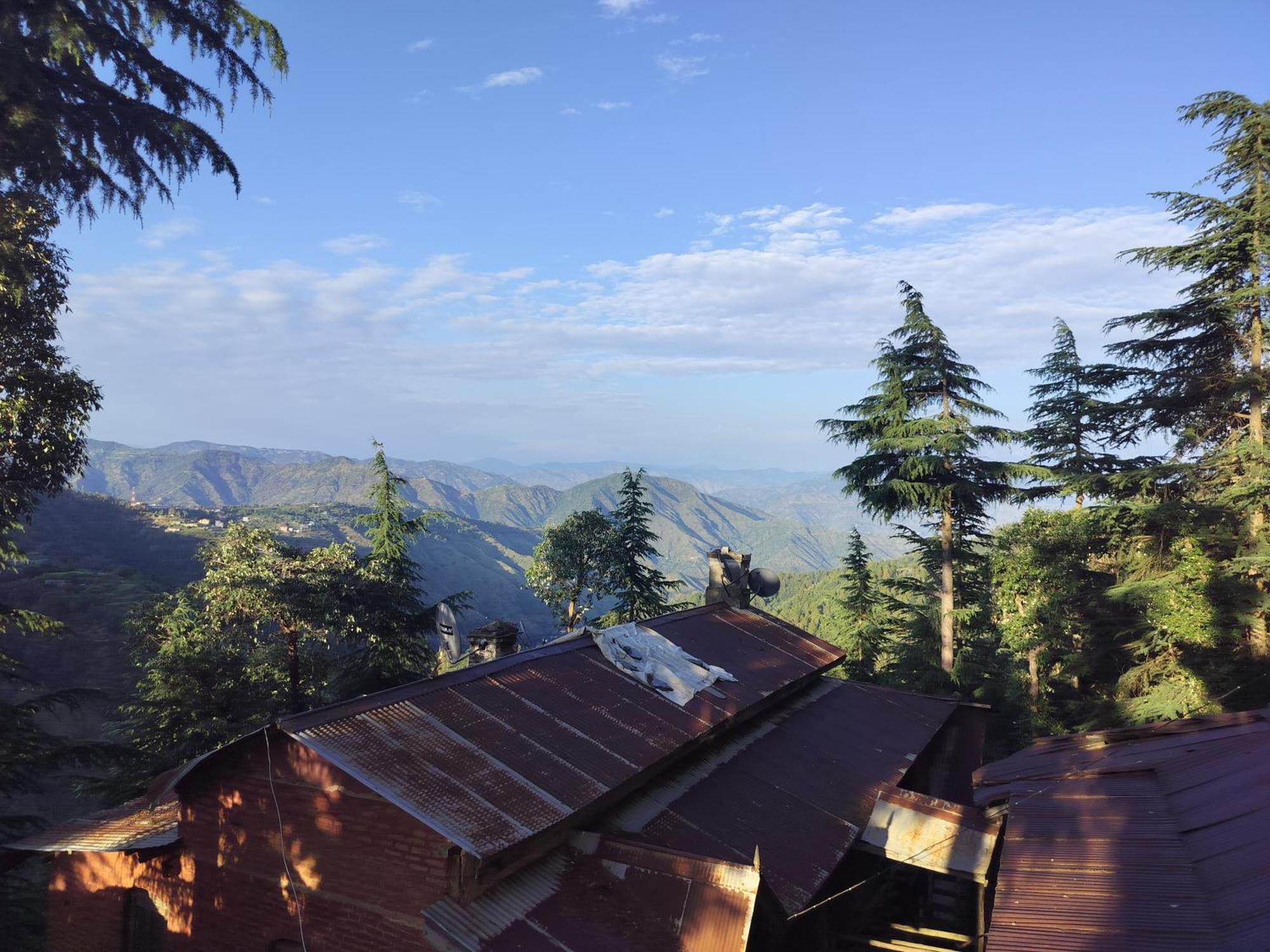 Tree Valley Homestay Chail Exterior photo